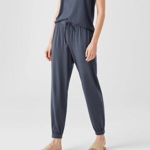 Eileen Fisher Ankle Track Jersey Jogger Pant Size 2X Travel Casual Mature